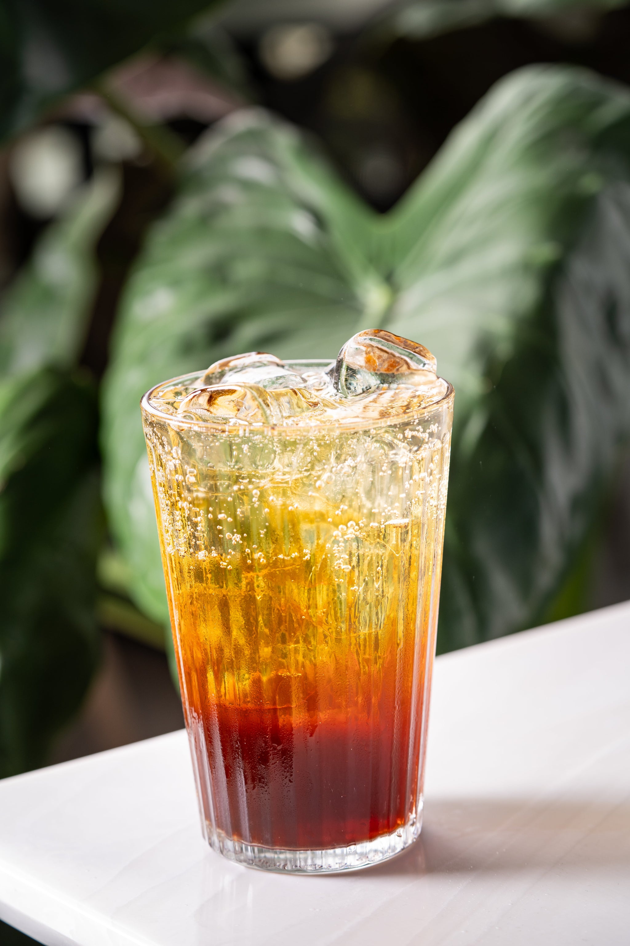 COLD BREW TONIC